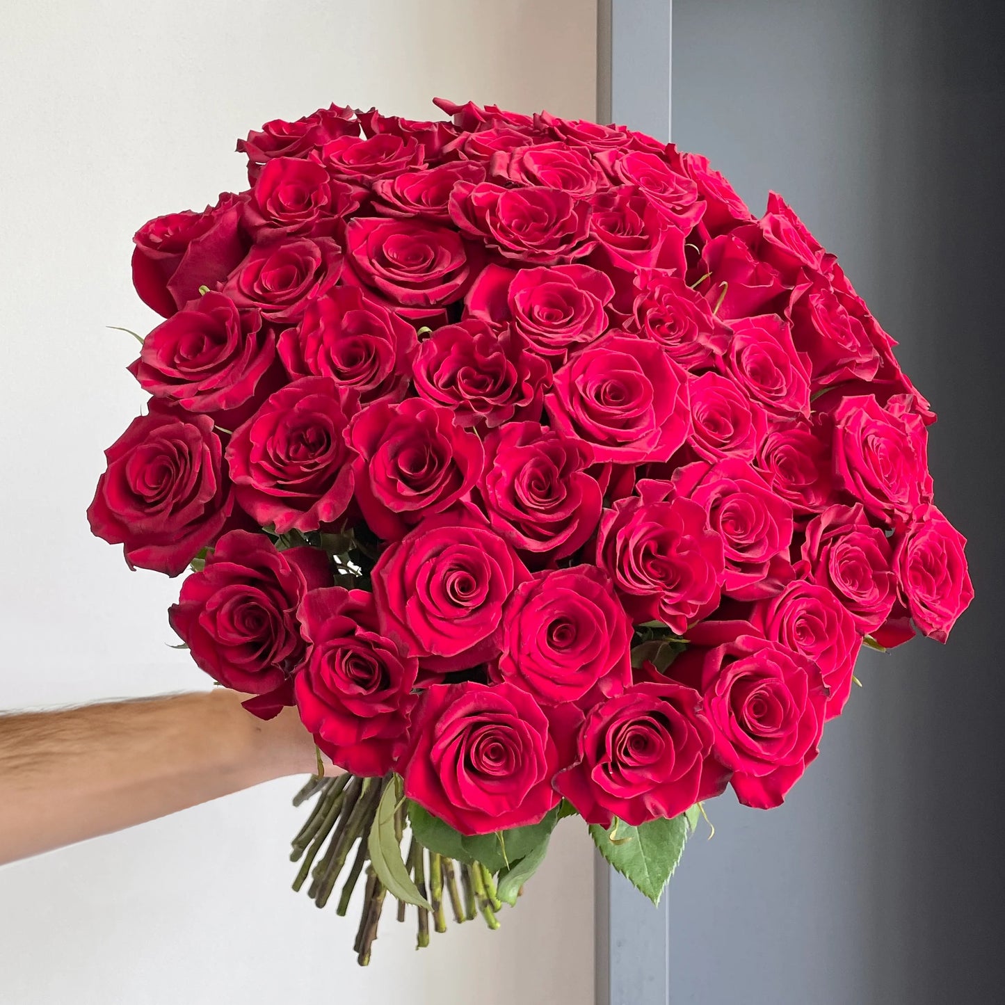 50 Red Paris
