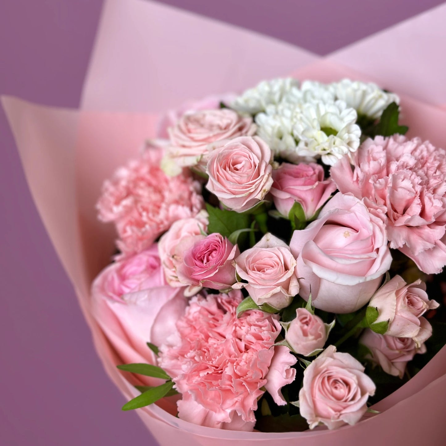 Blush Beauty