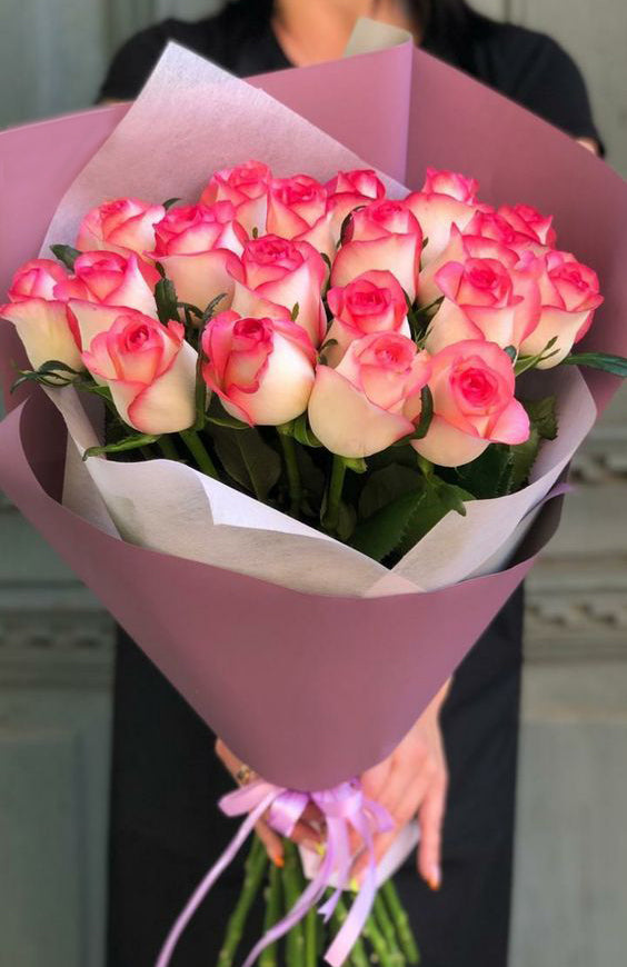 Charming Beauty: 19 Jumilia Roses