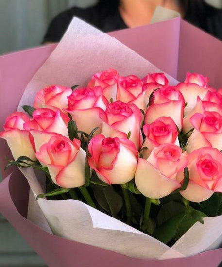 Charming Beauty: 19 Jumilia Roses