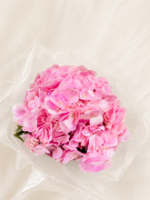 11 pink Tinted Hydrangea Bouquet Mother's Day Special