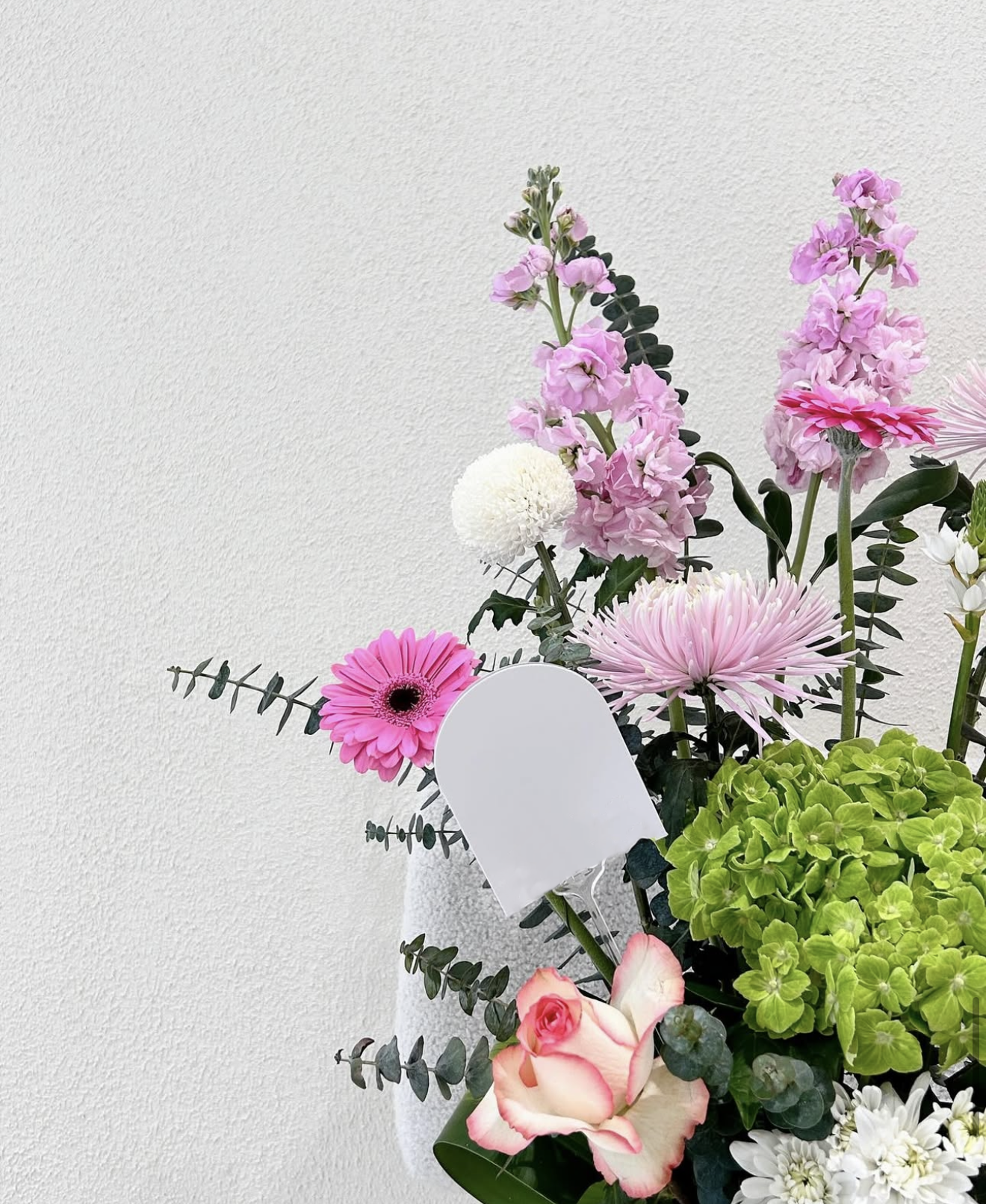 Bright Futures – Graduation Flower Pot