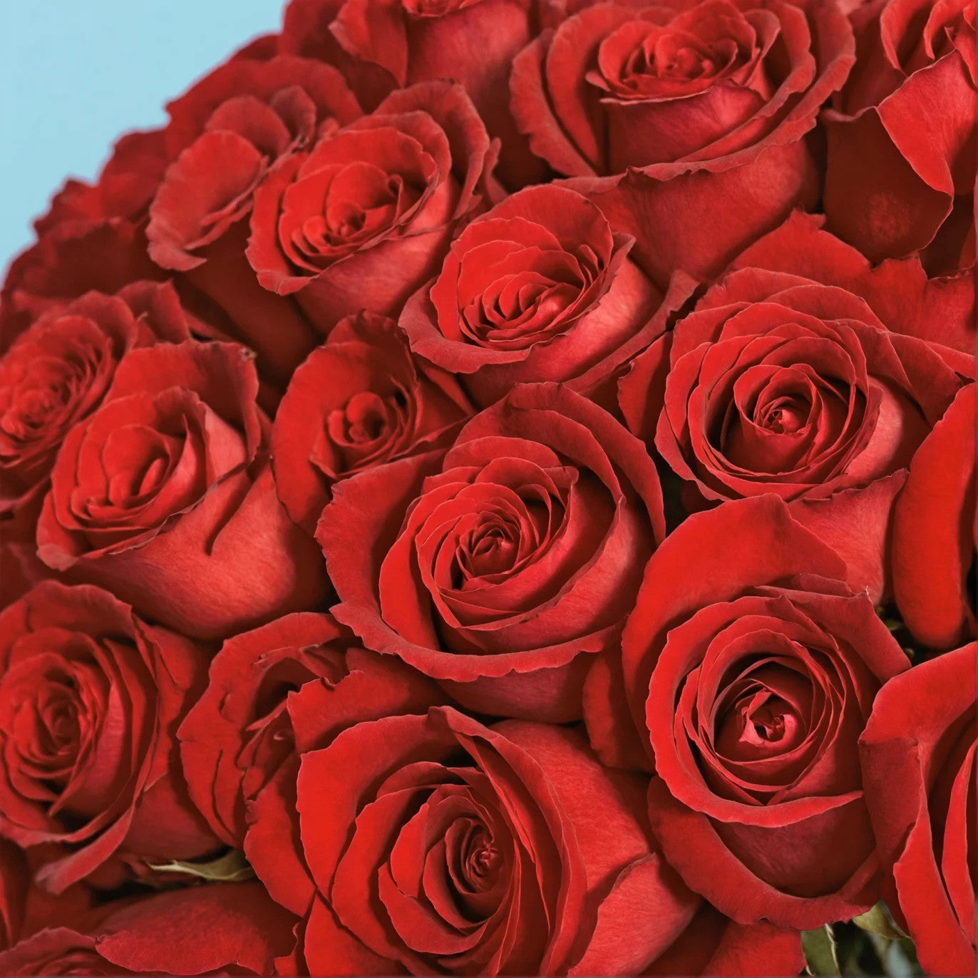 101 A Grand Gesture of Love and Passion