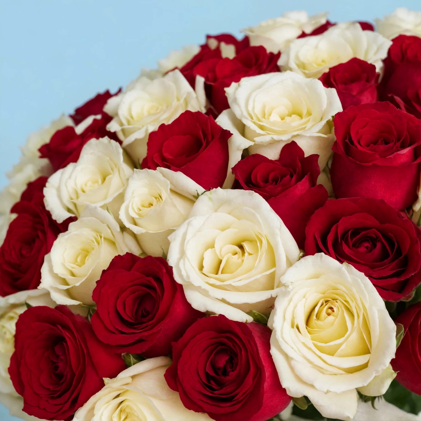 101 A Harmonious Blend of Love and Purity