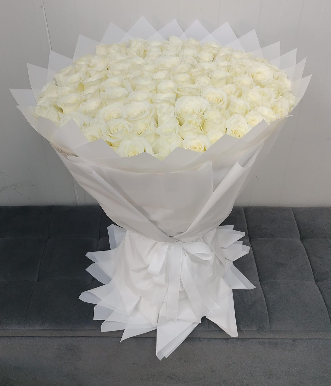 Elegance in Abundance: 101 White Beauty Roses