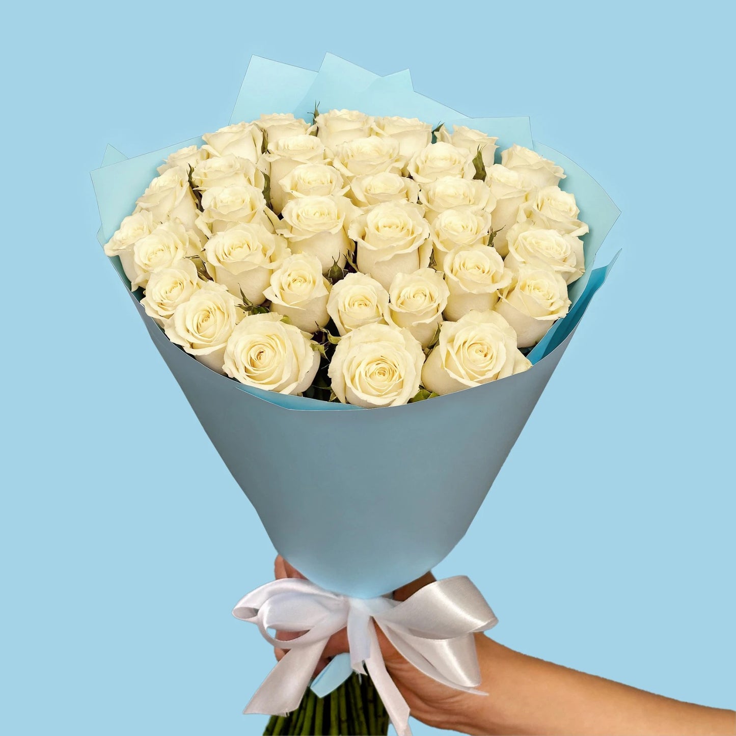 Redefining Beauty in Simplicity: 35 White Roses