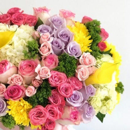 Box Of Colors