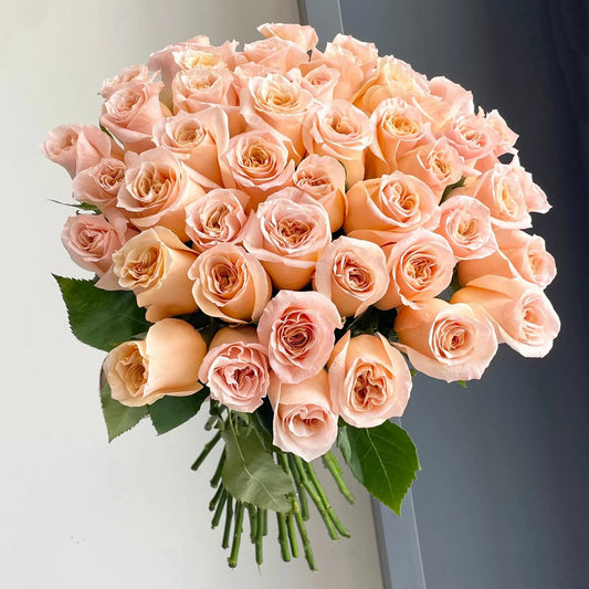 Roses - Shimmer Peach (50-stem bunch)