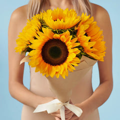 Six Radiant Sunshine - Sunflower
