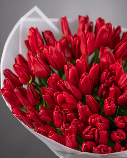 Tulips bouquet Crimson Elegance