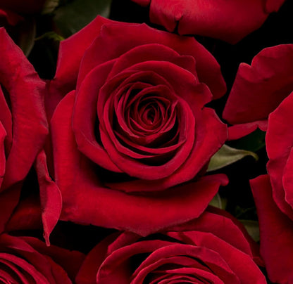 Romantic Heart-Shaped Flower Arrangement