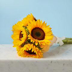 Six Radiant Sunshine - Sunflower