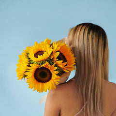 Six Radiant Sunshine - Sunflower