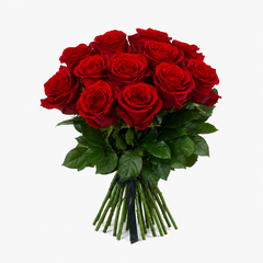 Brunch of red rose stem