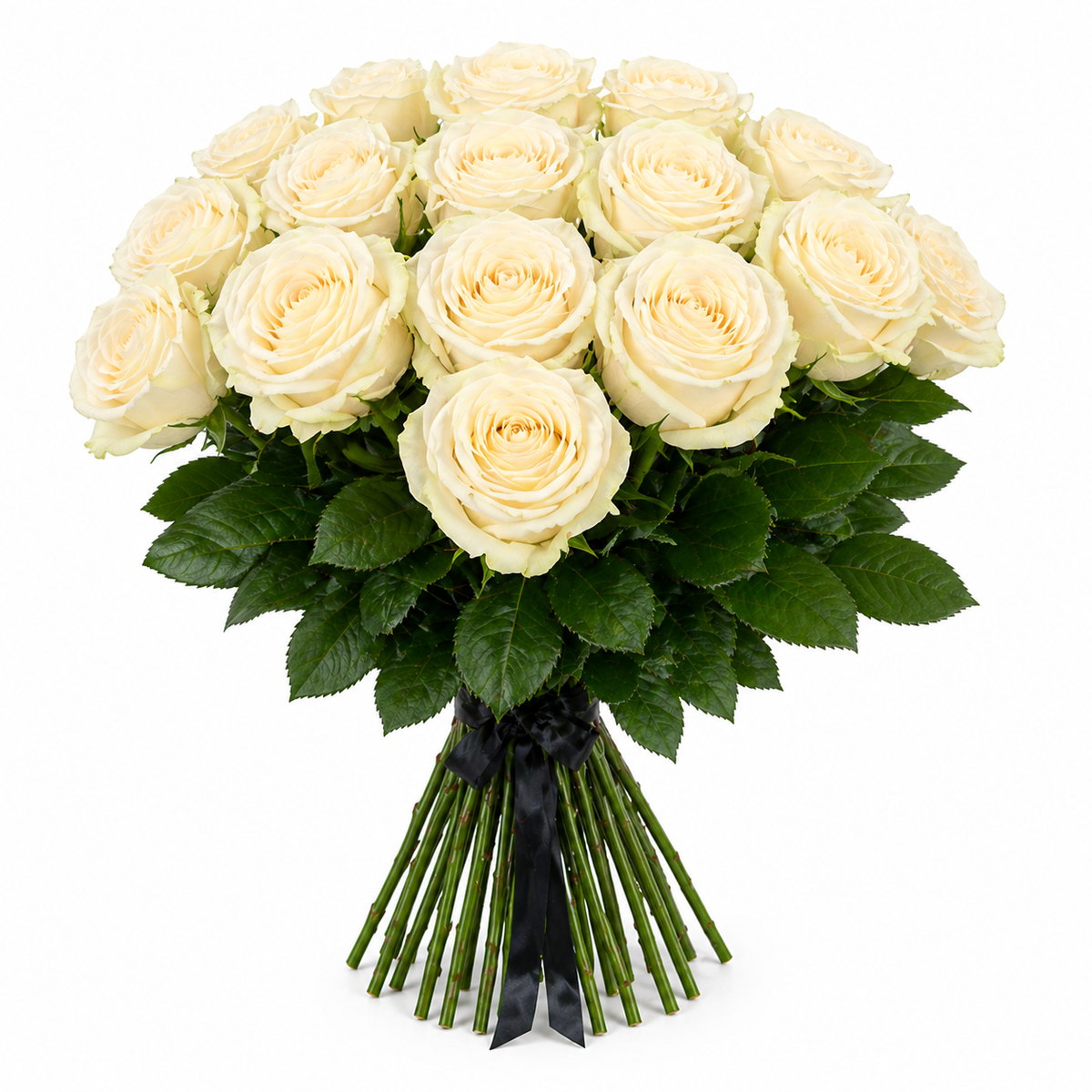 Brunch of Cream Rose Stem