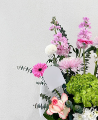 Bright Futures – Graduation Flower Pot