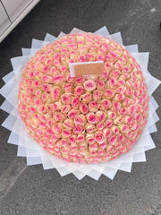 Royal Blush 301 Roses