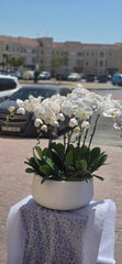 Elegant White Orchid Arrangement in Ceramic Planter(10-Piece White Orchid Arrangement)