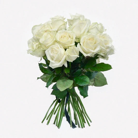 Brunch of White Rose Stems