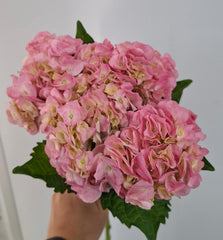 11 Veronica pink Hydrangea bouquet