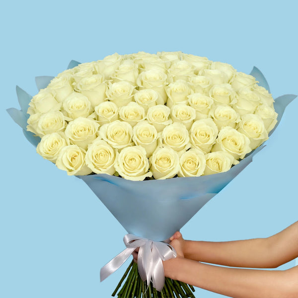 101 A Pure and Timeless Expression of Elegance