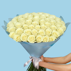 101 A Pure and Timeless Expression of Elegance