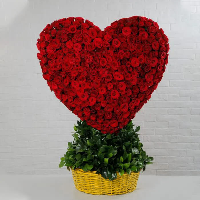 301 STEMS RED ROSES in a basket Manifest your love by sending this Basket of Bountiful Love.