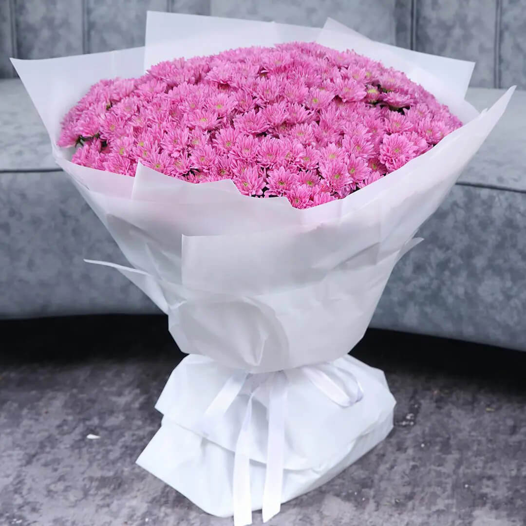 This bouquet consists of 100 stems Pink Chrysanthemum.NOTE: When your flowers arrive in closed bud form, it’s okay. They just need a trim and some water, and they’ll begin to bloom beautifully in no time!