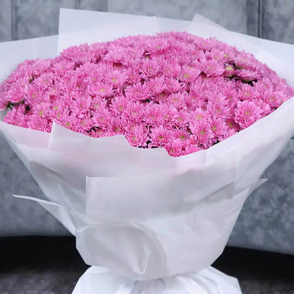 Charming Pink Chrysanthemums