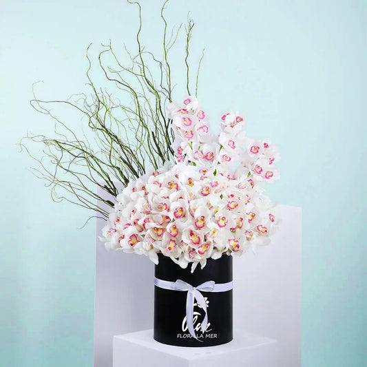 This product composed of Bright 8 stems of white color cymbidium and 5 stems of salix in a box is a classic sample of encouragement.NOTE: When your flowers arrive in closed bud form, it’s okay. They just need a trim and some water, and they’ll begin to bloom beautifully in no time!