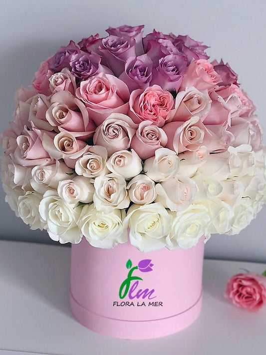 Ombre Style Roses