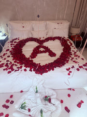 Premium Velvet Red Rose Petals – Timeless Romance in Every Detail